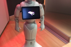 MWC - Robot